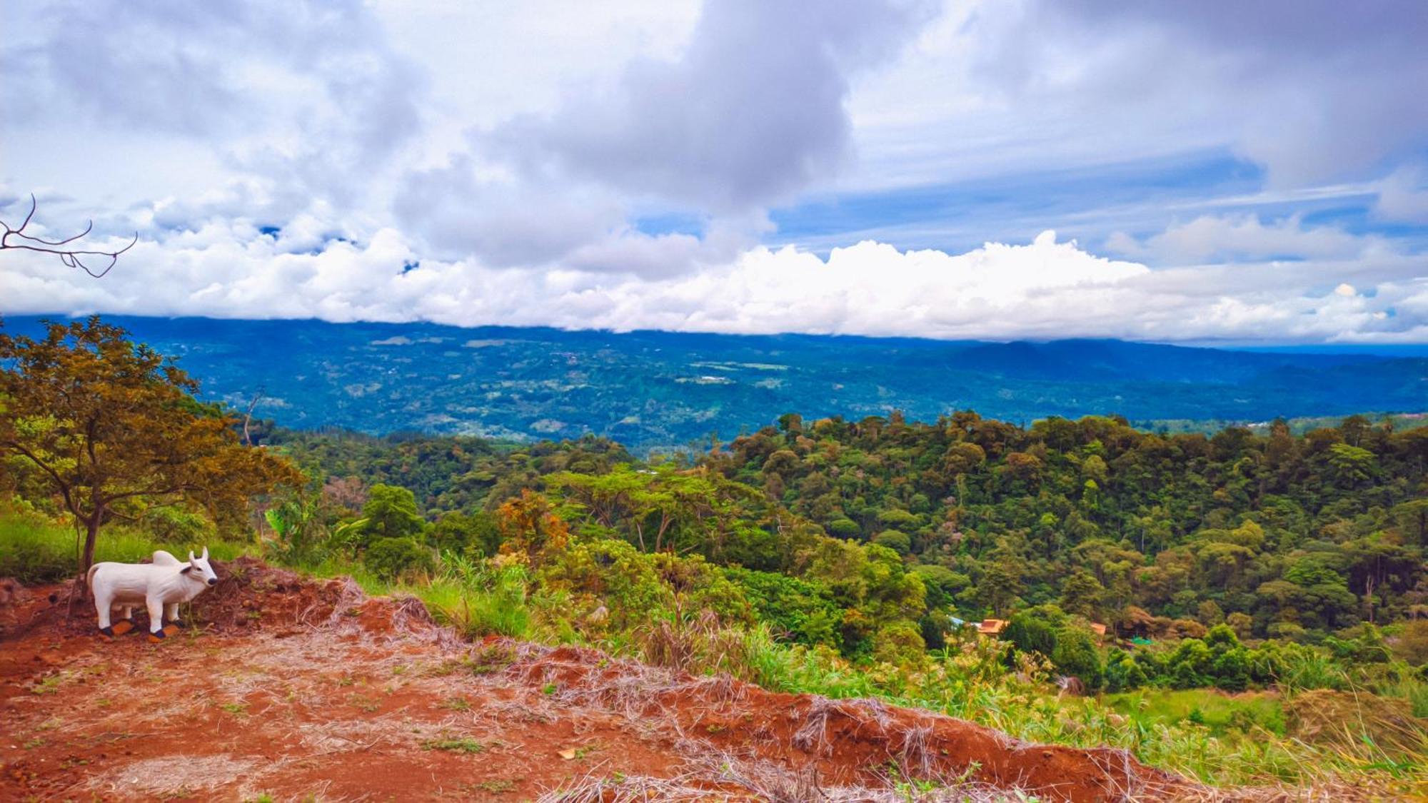 Las Colinas Glamping Turrialba Buitenkant foto
